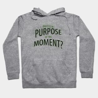 What is the Purpose of this Moment? Hoodie
